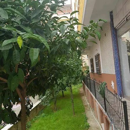 Alemara 2*